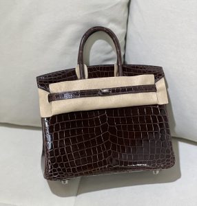 Birkin 25cm 尼罗高光哈瓦那色 银扣
色泽光感一级 极品[色]-高仿包包