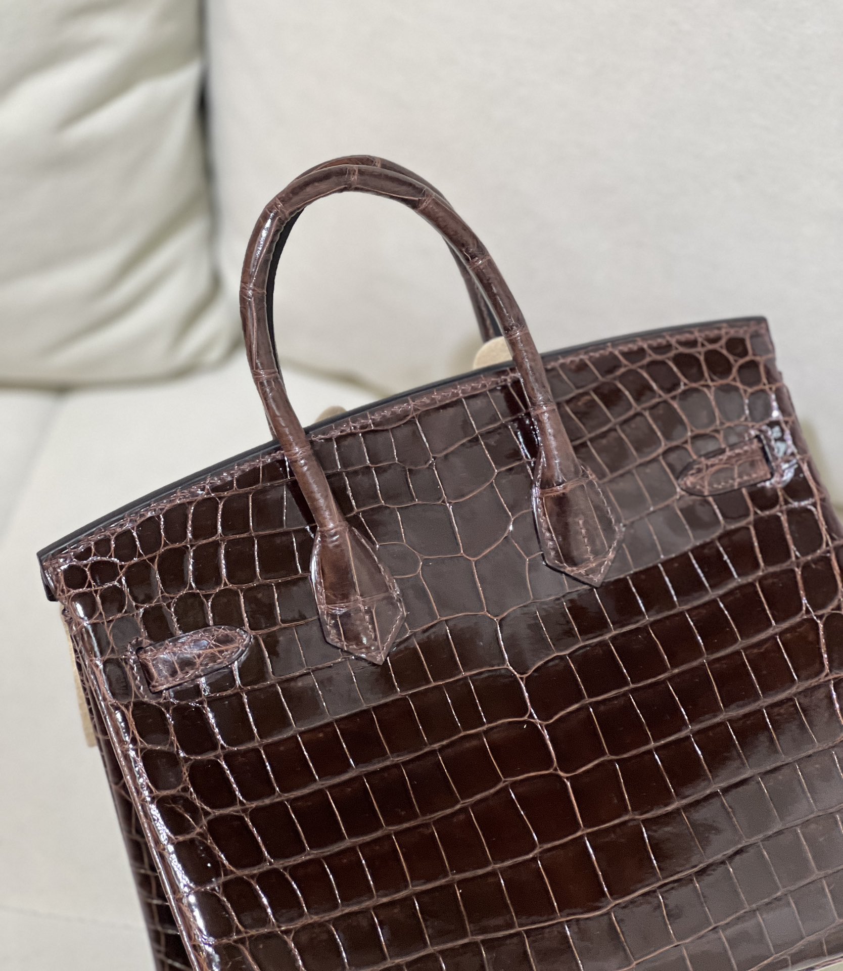 图片[6]-Birkin 25cm 尼罗高光哈瓦那色 银扣
色泽光感一级 极品[色]-高仿包包