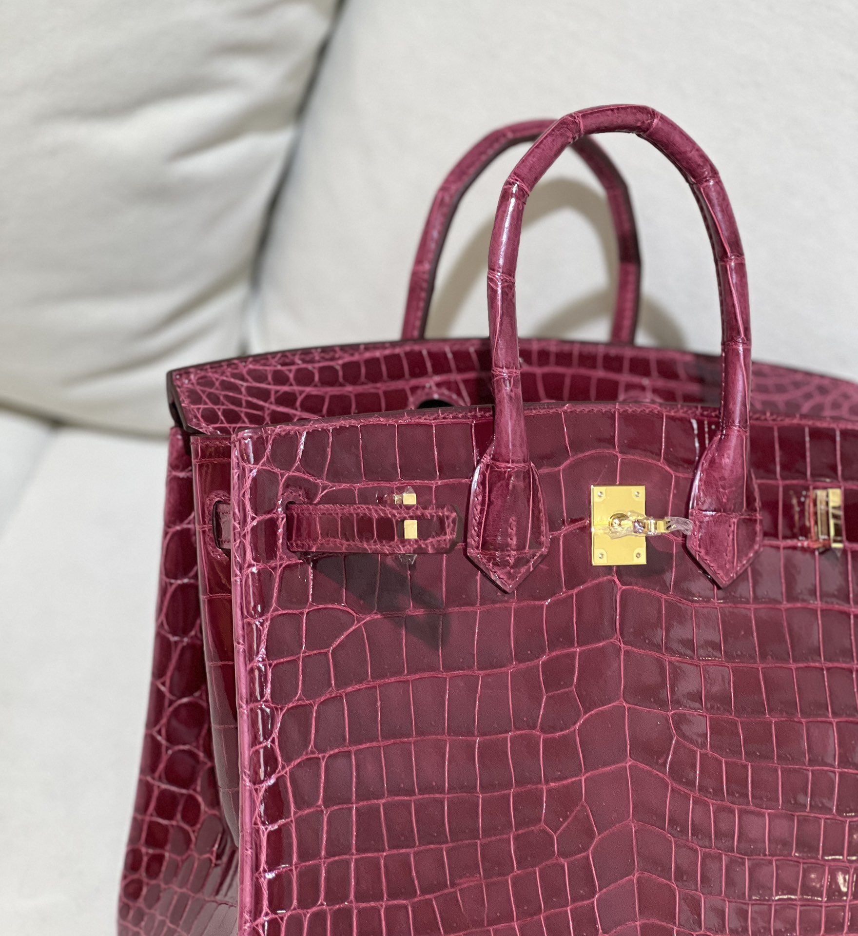 图片[6]-Birkin 25cm 尼罗高光酒红色金扣
色泽光感一级 极品[色]-高仿包包