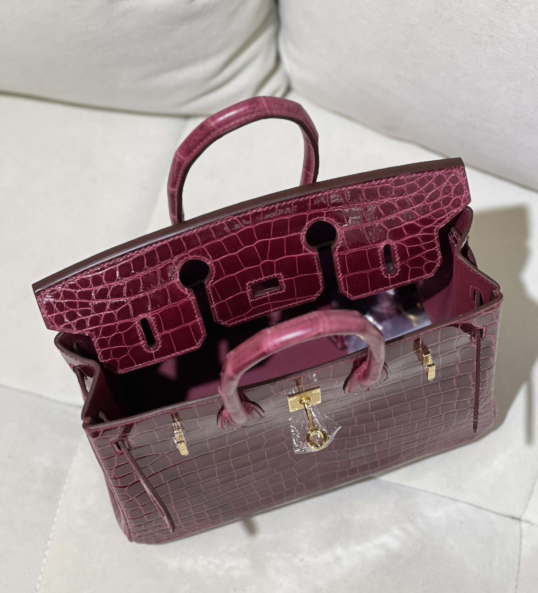 图片[9]-Birkin 25cm 尼罗高光酒红色金扣
色泽光感一级 极品[色]-高仿包包