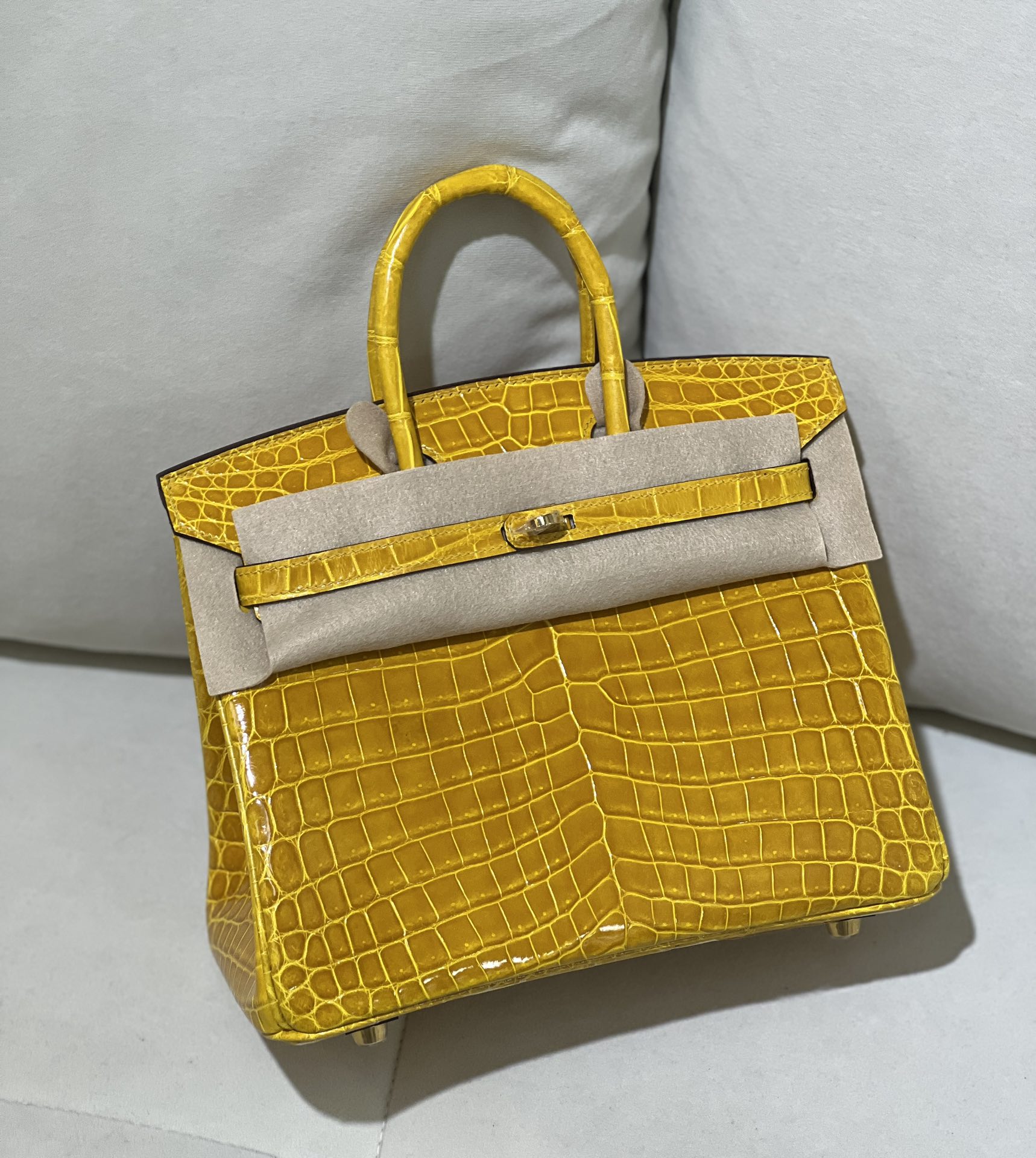 Birkin 25cm 尼罗高光琥珀黄 金扣
色泽光感一级 极品[色]-高仿包包
