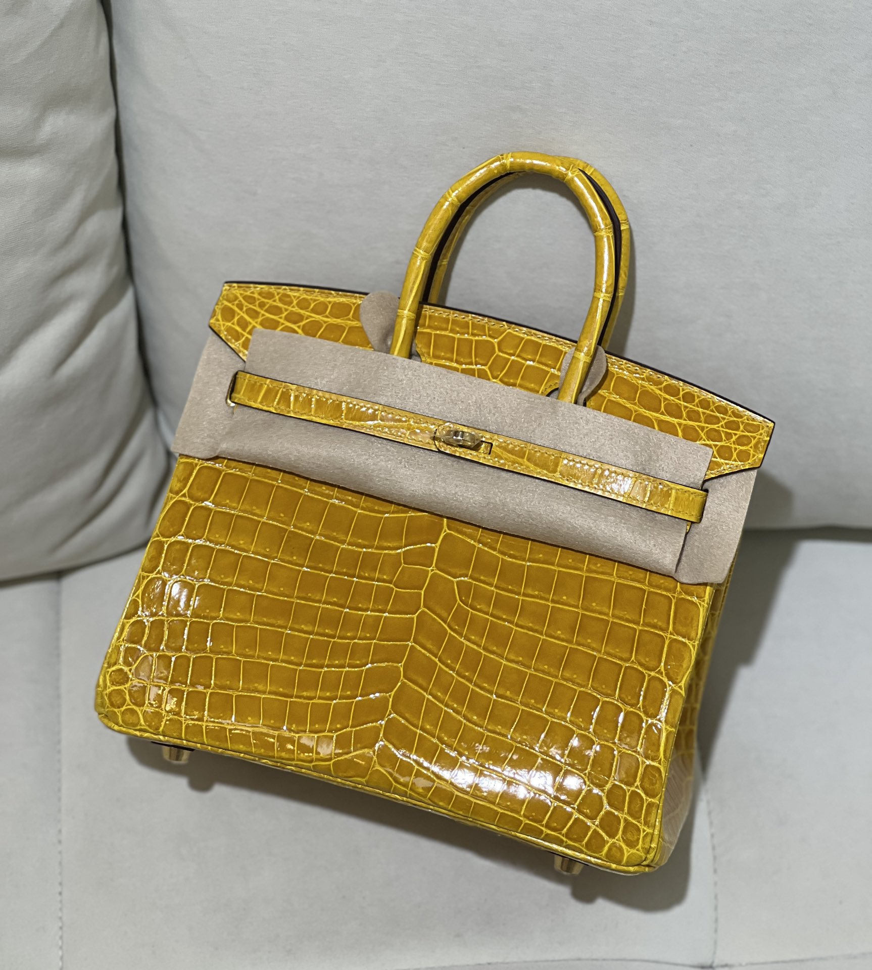 图片[2]-Birkin 25cm 尼罗高光琥珀黄 金扣
色泽光感一级 极品[色]-高仿包包
