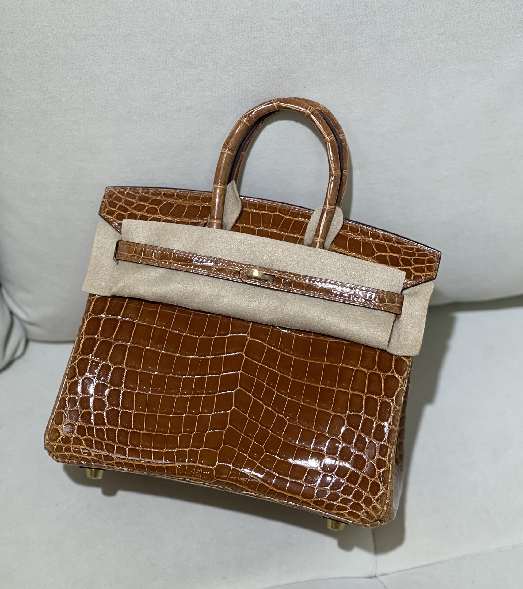 图片[2]-Birkin 25cm 尼罗高光 金棕金扣-高仿包包