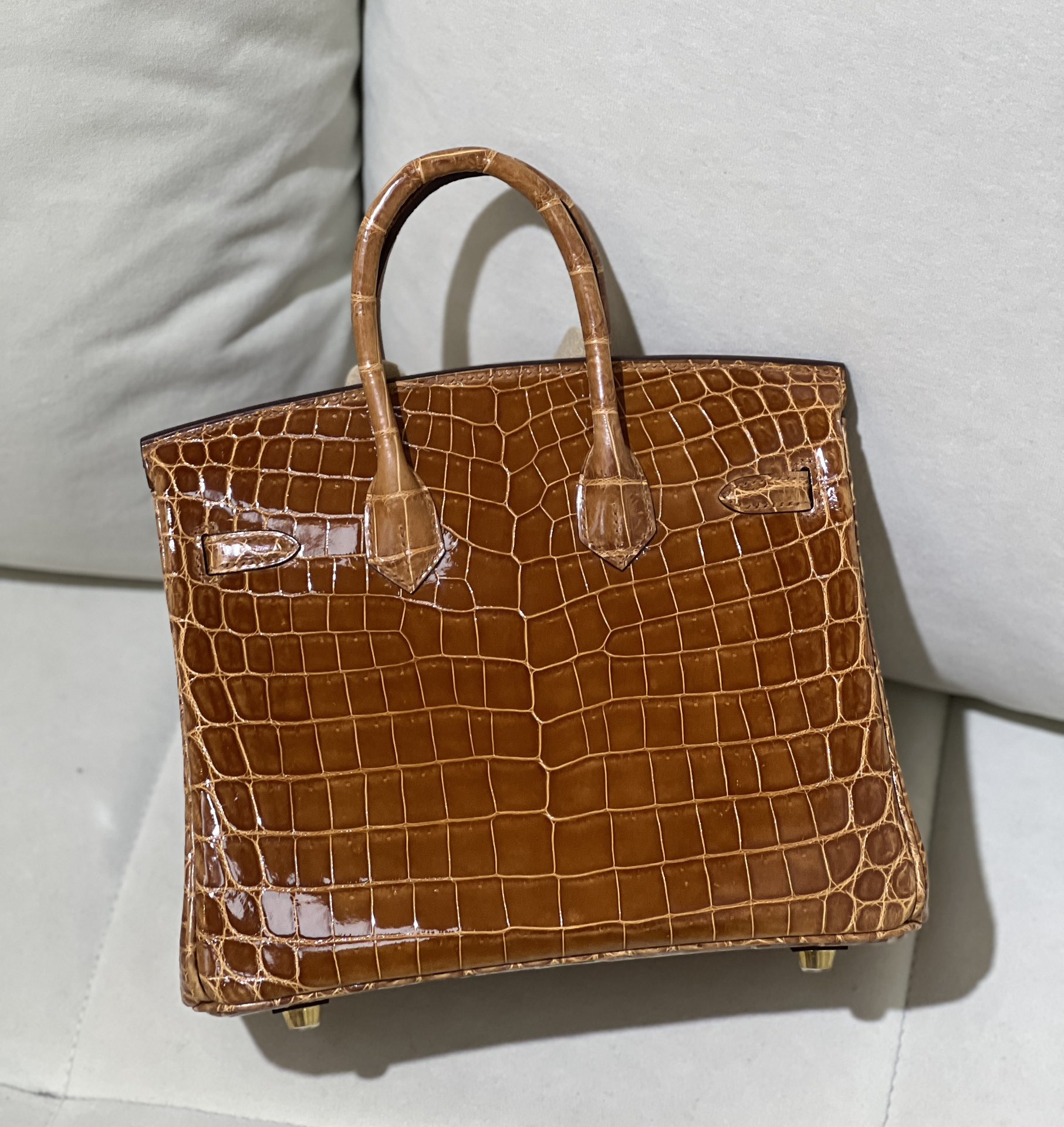 图片[3]-Birkin 25cm 尼罗高光 金棕金扣-高仿包包