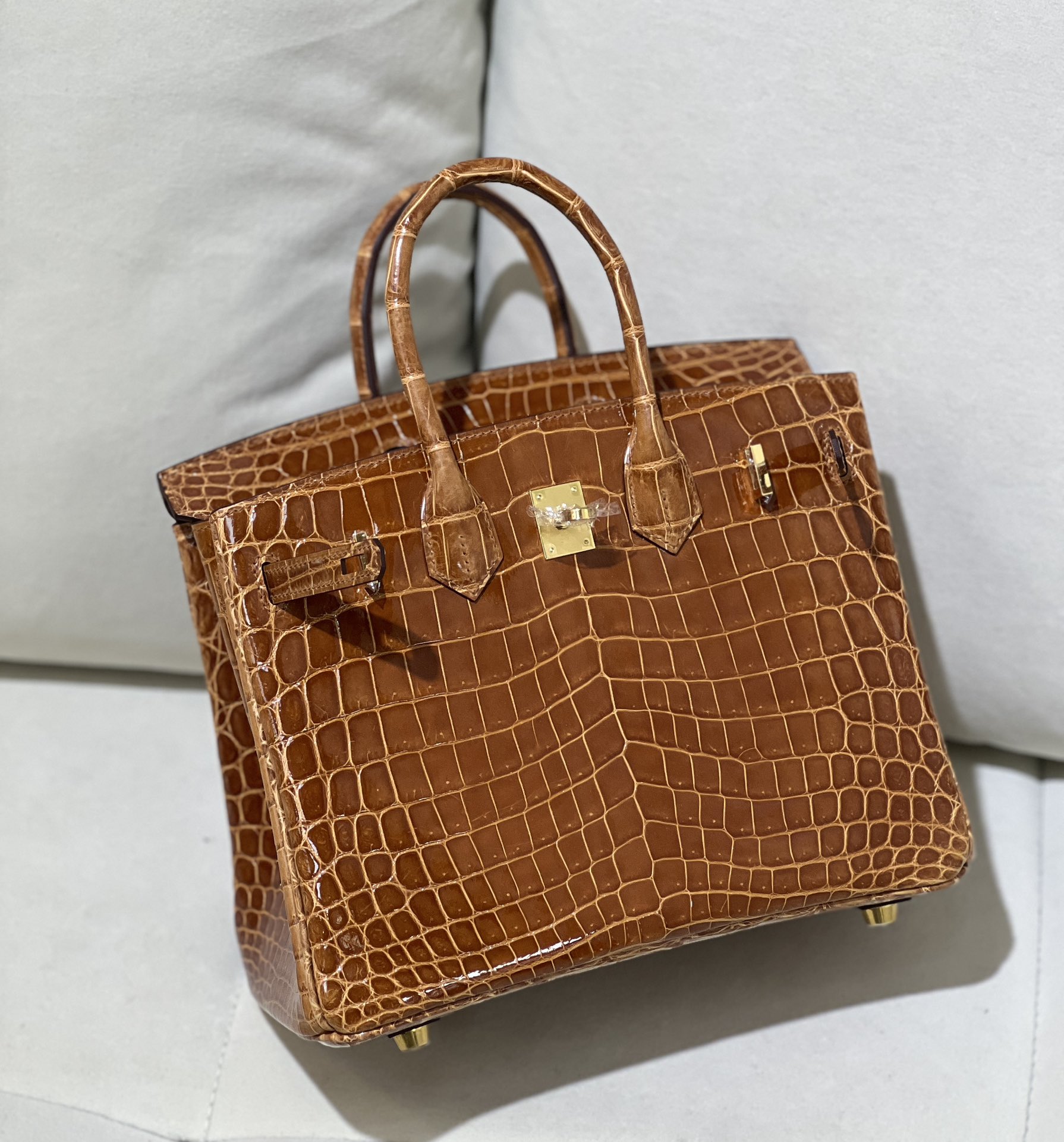 图片[4]-Birkin 25cm 尼罗高光 金棕金扣-高仿包包