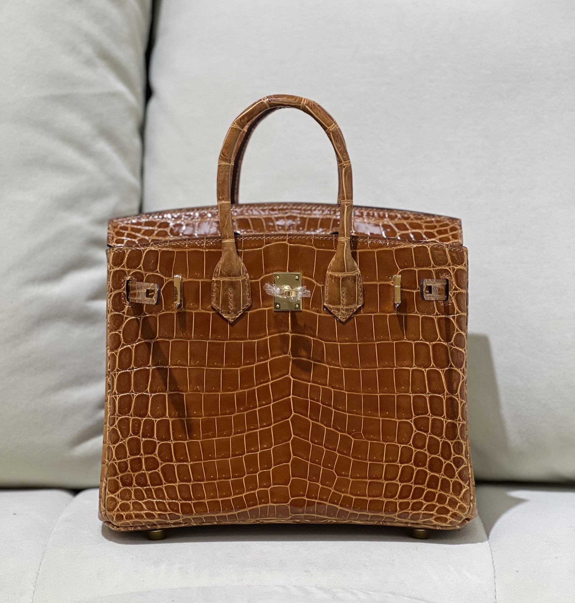 图片[7]-Birkin 25cm 尼罗高光 金棕金扣-高仿包包