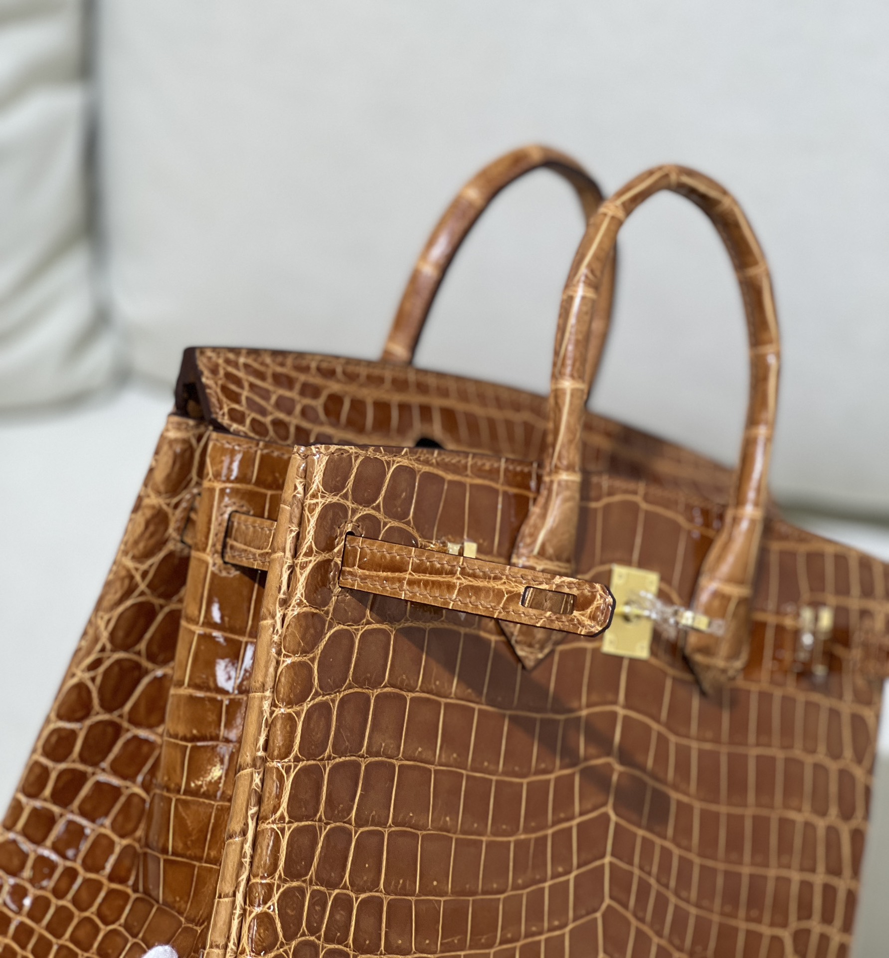 图片[9]-Birkin 25cm 尼罗高光 金棕金扣-高仿包包