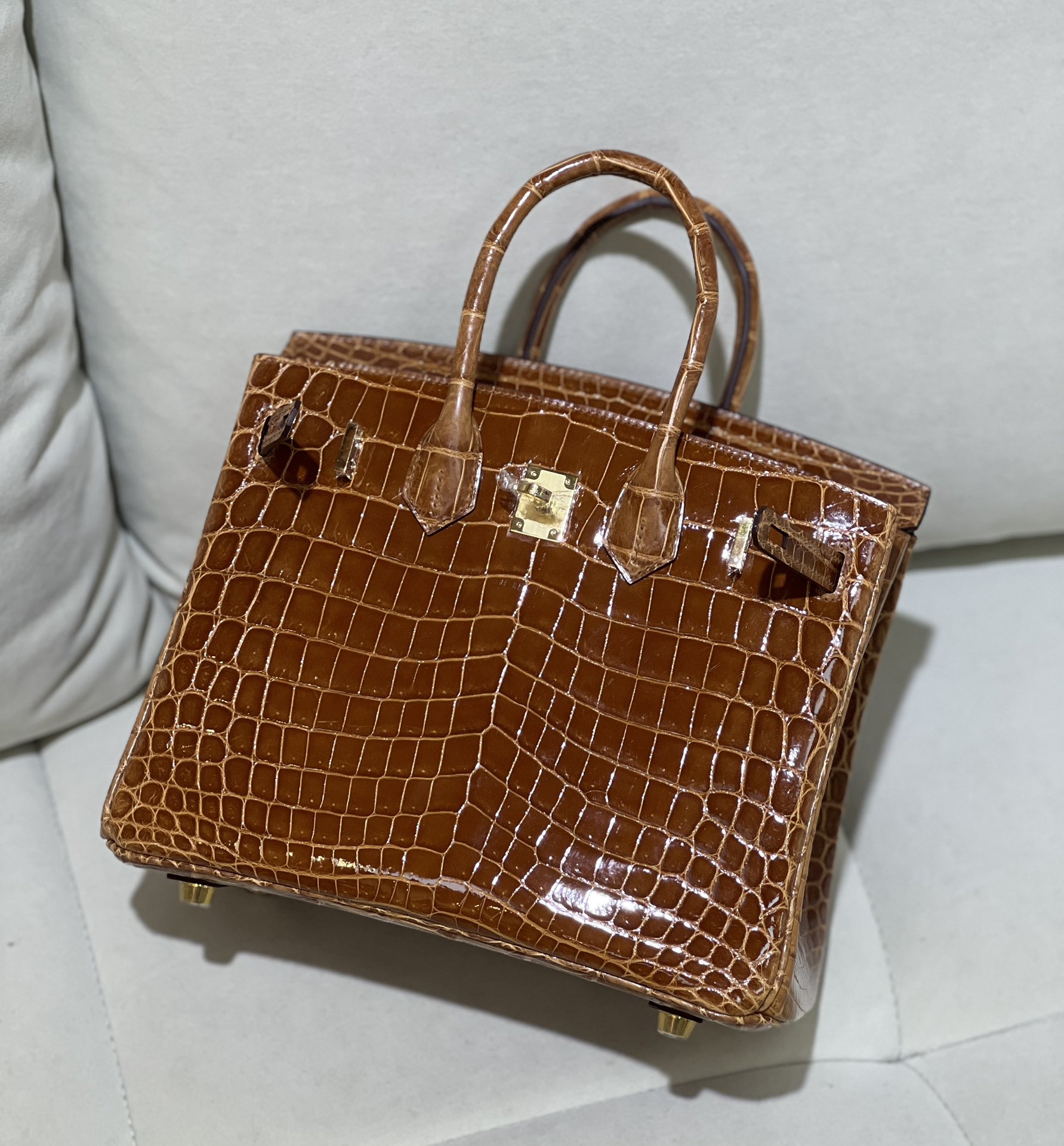 图片[5]-Birkin 25cm 尼罗高光 金棕金扣-高仿包包