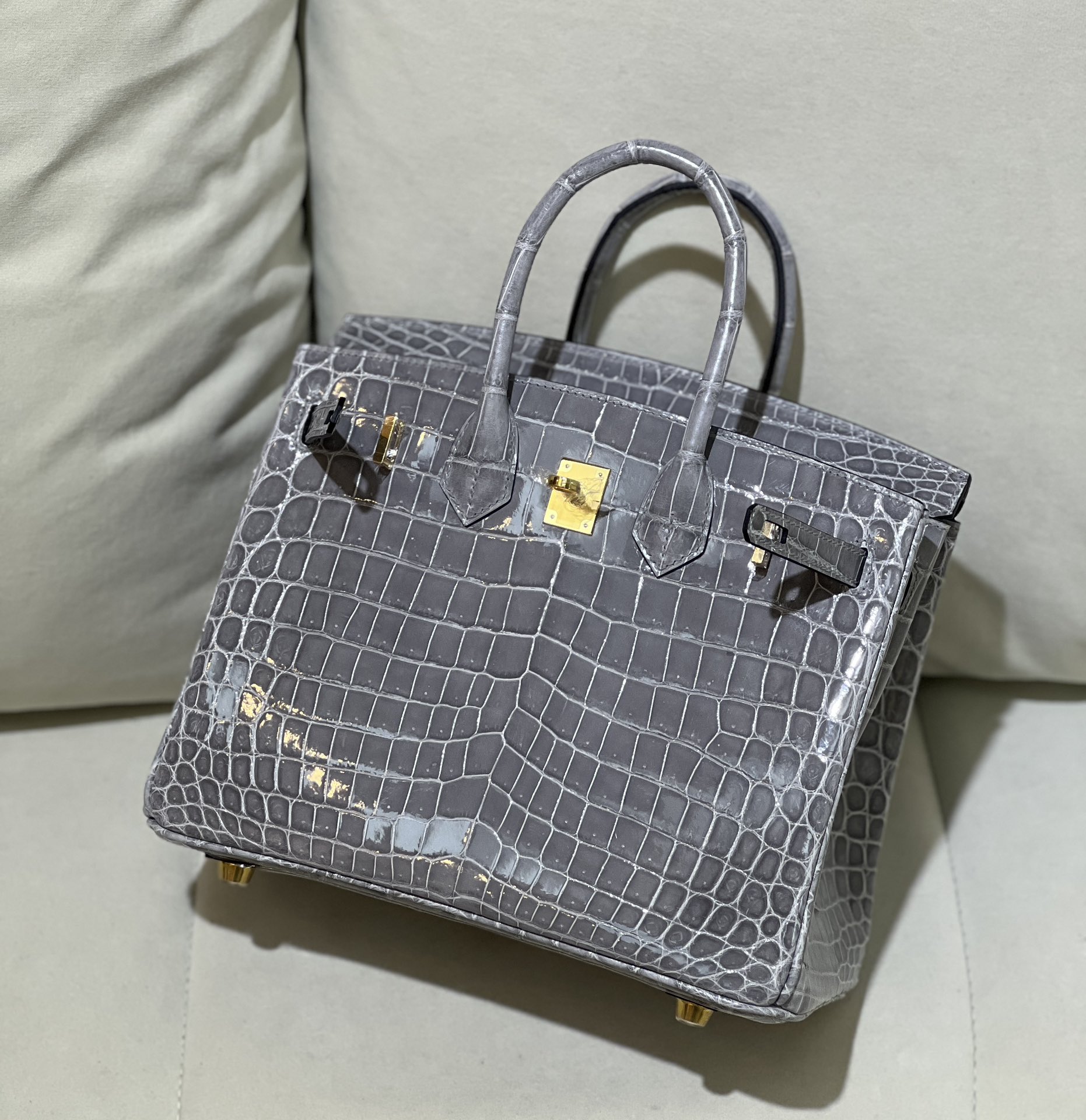 Picture [5]-bk25 Nile High Glacier Gray Gold Buckle-High Faux Bags