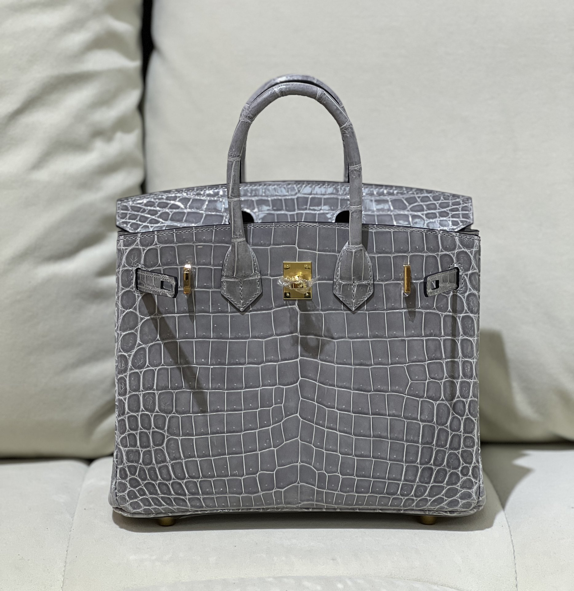 Picture [3]-bk25 Nile High Glacier Gray Gold Buckle-High Faux Bags