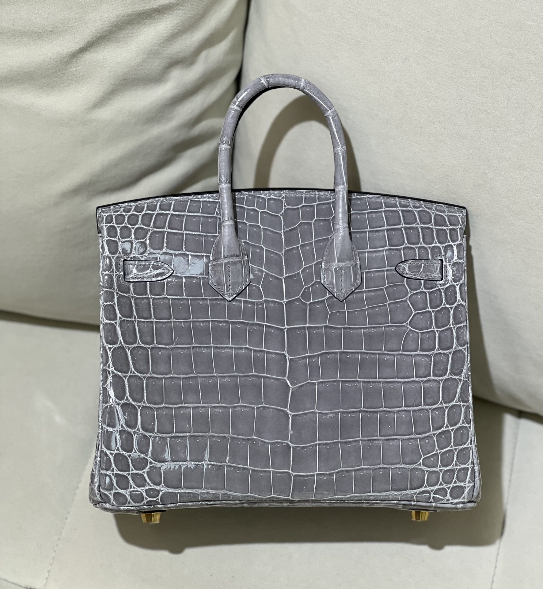 Picture [2]-bk25 Nile High Glacier Gray Gold Buckle-High Faux Bags